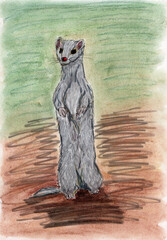 pastel sketch of weasel animal