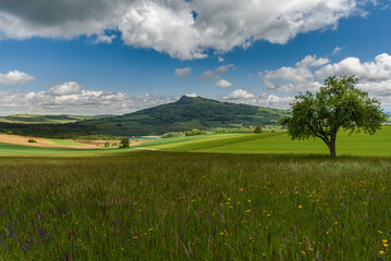 Vulkanlandschaft im Hegau, Blick auf den Hegauvulkan Hohenstoffeln, Landkreis Konstanz,...