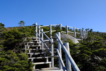 夢の庭園と青空