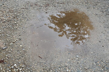 梅雨の晴れ間と水たまり