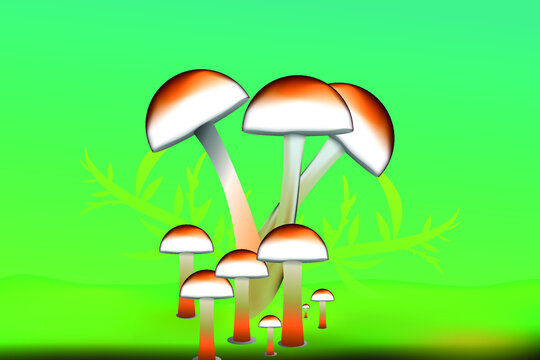 Cute Mushroom Family Drawing In Vector Illustration, The Family Of Mushrooms Isolated On A White BG.