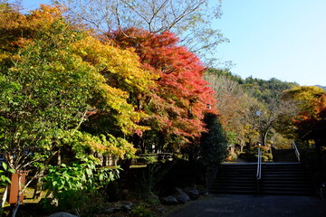 奥多摩・山のふるさと村の紅葉