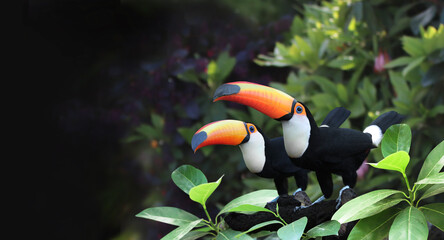 Horizontal banner with two beautiful colorful toucan birds on a branch in a rainforest - obrazy, fototapety, plakaty