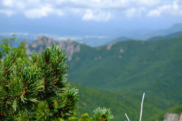 榛松の先に瑞牆山