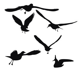 Set of seagull silhouettes