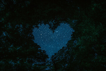 Fototapeta na wymiar a panorama spring night forest trees in the center of the heart on Valentine's Day