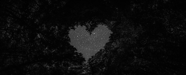 a panorama spring night forest trees in the center of the heart on Valentine's Day