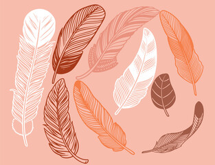 Hand drawn bohemian, tribal, ethnic set of feathers. Rustic decorative feathers. Vintage vector design set.