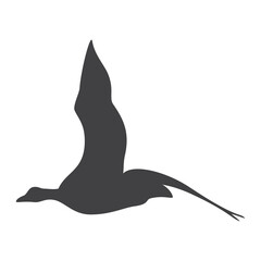 Flying bird silhouette, icon. Vector illustration isolated on white background.
