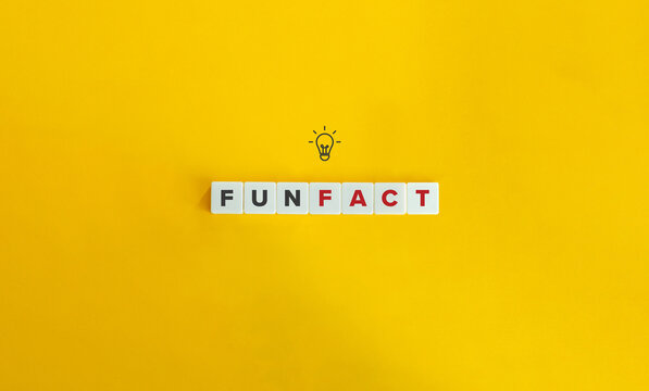 Fun Fact Banner. Letter tiles on bright orange background. Minimal aesthetics.