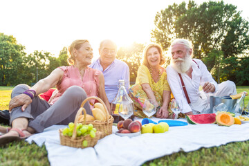 Group of seniors making a picnic at the park and having fun. Concepts about the third age,...