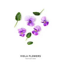 Fotobehang Spring viola pansy flowers composition. © ifiStudio