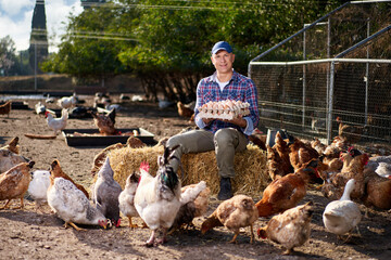 Farmer feeding chikens in a hen house