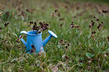 watering can on a flower bed in hot sunny weather