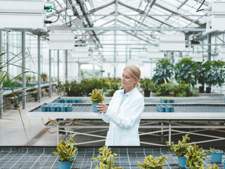 Biologist analyzing plants in greenhouse