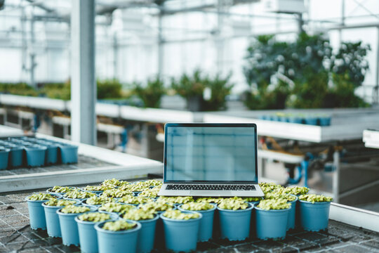 Laptop over potted plants in nursery