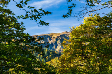 Massif du Sancy dans une trouée de feuillage depuis la montée de la vallée de Chaudefour en automne