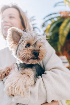 Woman with Yorkshire Terrier on sunny day