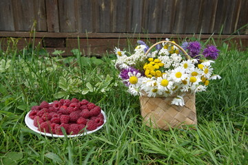 A basket of flowers and a plate of raspberries on the green grass