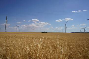 Rural landscape in Murge, Apulia, near Minervino