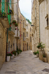 Fototapeta na wymiar Molfetta, historic city in Apulia