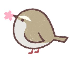 ウグイスと桜の花