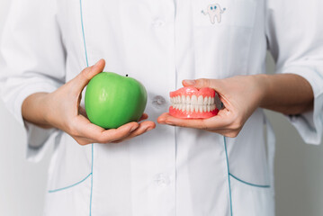 A false denture and a green apple in the hands of a dentist. Dental prosthesis care. A denture and...