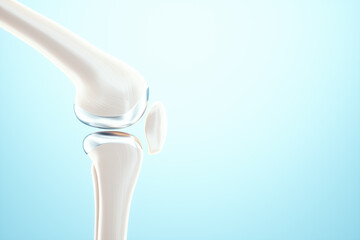 Medical poster image of the bones of the knee, the joint in the knee. Arthritis, inflammation, fracture, cartilage,. Copy space, 3D illustration, 3D render.