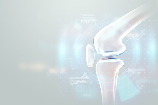 Medical poster image of the bones of the knee, the joint in the knee. Arthritis, inflammation, fracture, cartilage,. Copy space, 3D illustration, 3D render.