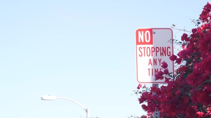 No stopping any time road sign on roadside, California city street, USA. Red flowers of bougainvillea plant, crimson floral blossom or bloom, blue sky. No parking traffic signage in America. Road trip