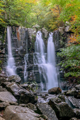 Fototapeta premium The beautiful Dardagna waterfalls, Corno alle Scale natural park, Lizzano in Belvedere, Italy