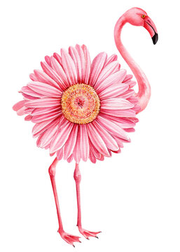 Flowers and flamingos on a white background. Watercolor illustration hand drawn