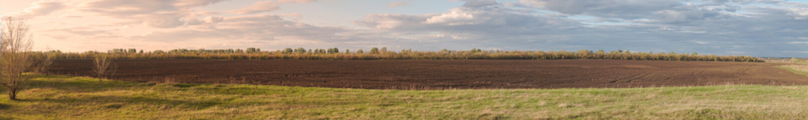 Panorama of a plowed agricultural field under a cloudy sky in front of a forest