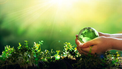 Fototapeta Environment day, save clean planet, ecology concept. Earth Day.Hand holding crystal earth globe.Renewable energy-based green businesses can limit climate change and global warming. obraz