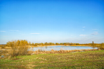 Obraz premium Spring landscape with high spring water on a sunny day against a blue sky background