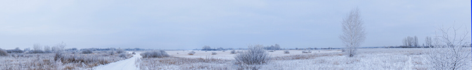 Panorama Overgrowth, bushes, trees and meadow in snow and magical frost. Winter fairy-tale landscape