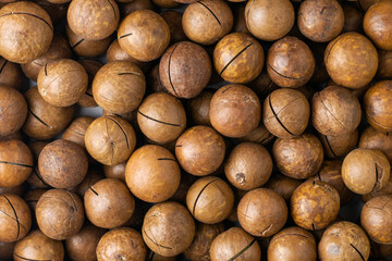 macadamia nuts with saws for splitting background backdrop