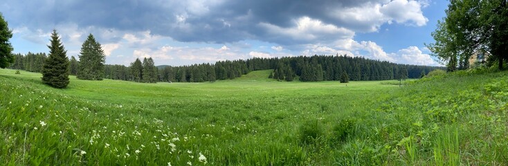 Panorama Schuderbachswiese bei Oberhof / Thüringer Wald