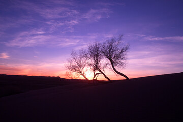 sunset in the desert
