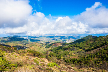 landscapes of the canary islands island of gran canaria telde area with beautiful
 pine forests autochthonous vegetation with protected
 endemisms in a protected area with cold winter weather