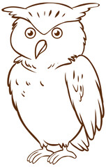 Owl in doodle simple style on white background