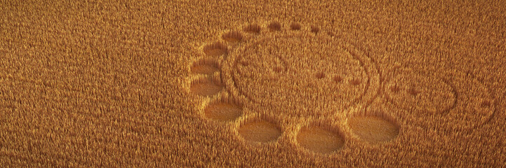 field with alien crop circle formation, background banner - obrazy, fototapety, plakaty