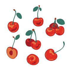 Collection of cherries in different forms. Slices of cherries full of vitamins in flat style