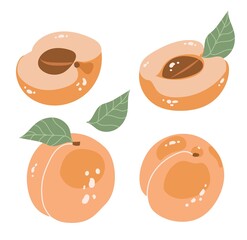 Fototapeta na wymiar Peaches are full of vitamins for a balanced healthy diet.