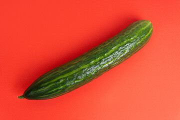 Green cucumber on the red background 
