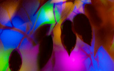 Fototapeta na wymiar Leaves on a blurred background of colored lanterns. Background abstract pattern.