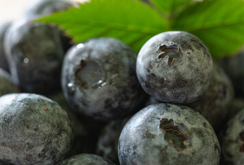 Arándanos saludables. Arandano orgánico recién cosechado. Fruta fresca