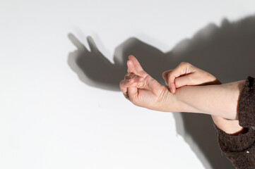 Female hands folded in a gesture that casts a shadow in the form of a snail on a light wall.