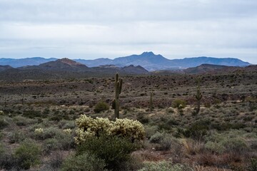 An overlooking view of Lost Dutchman SP, Arizona