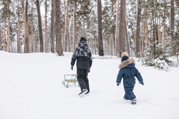 Fototapeta na wymiar Rear view of two boys sledding and having fun together. Happy children playing in snow in winter forest. Brothers spending time together